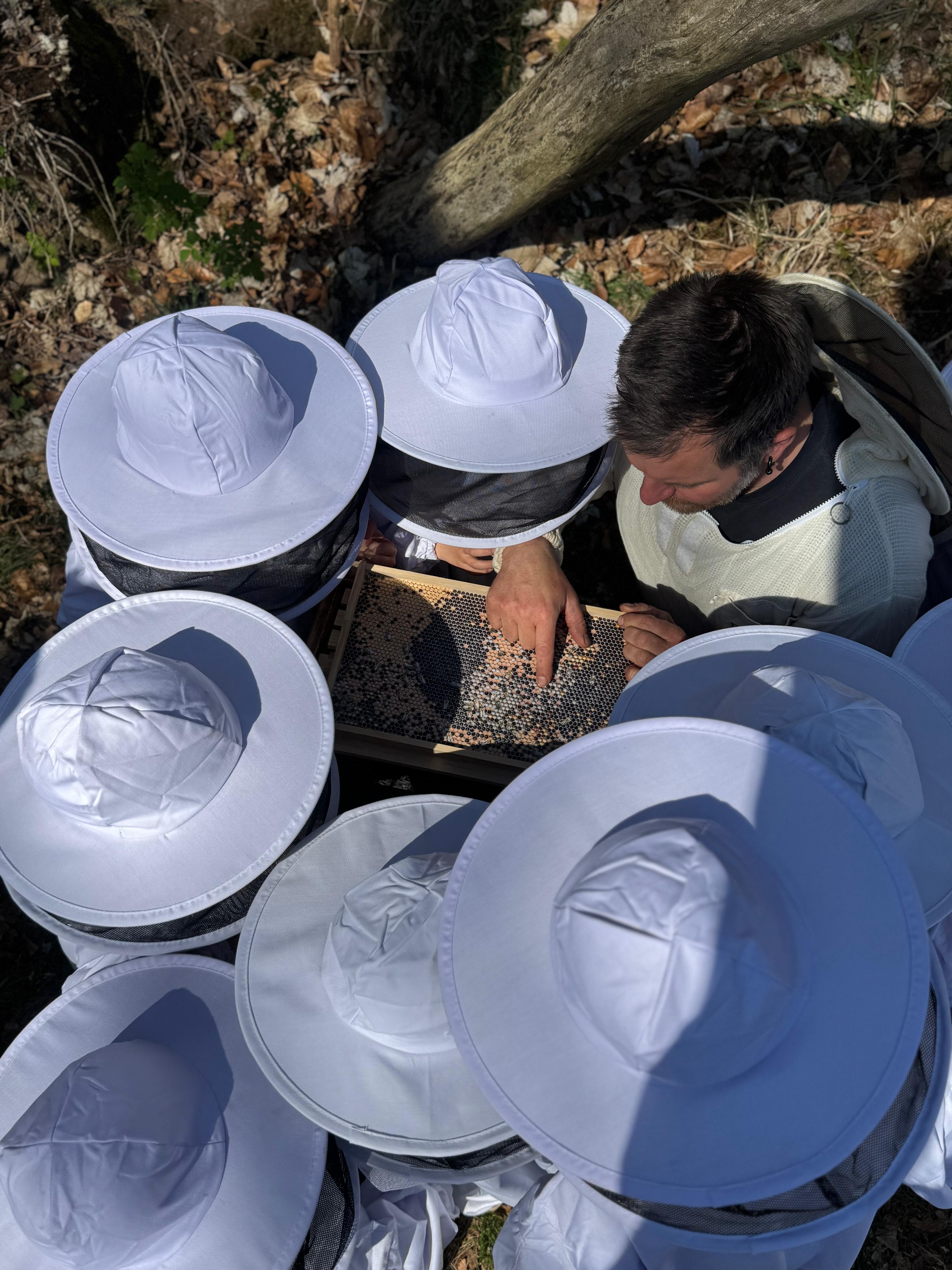 Landeszootag am 15. August Landeszootag am 15. August