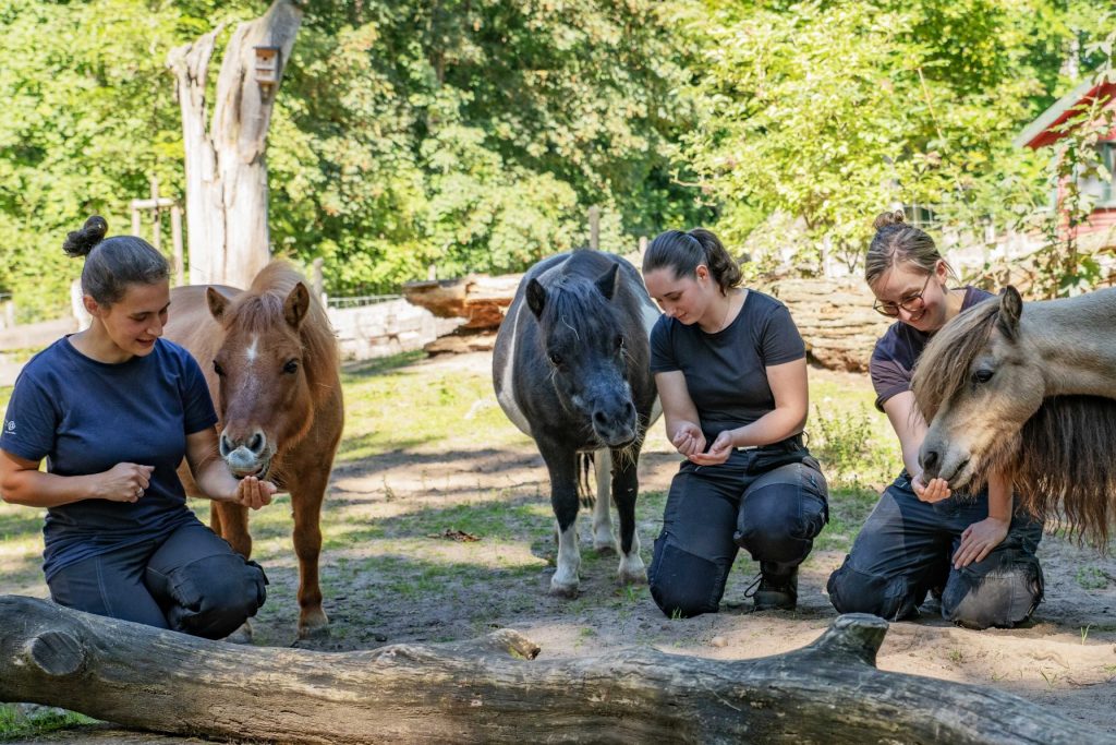 Studenten – Praktikum im Tiergarten Studenten – Praktikum im Tiergarten