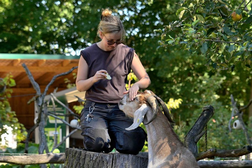 Schüler Praktikum im Tiergarten Schüler Praktikum im Tiergarten